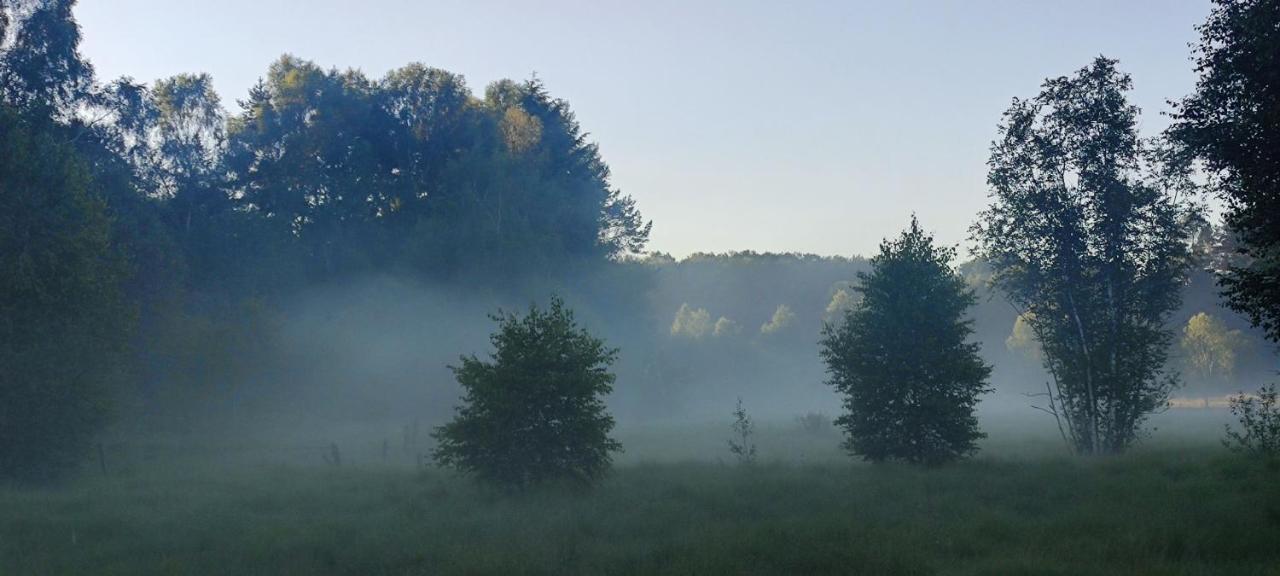 Le Pas Du Loup Villa Royere-de-Vassiviere ภายนอก รูปภาพ